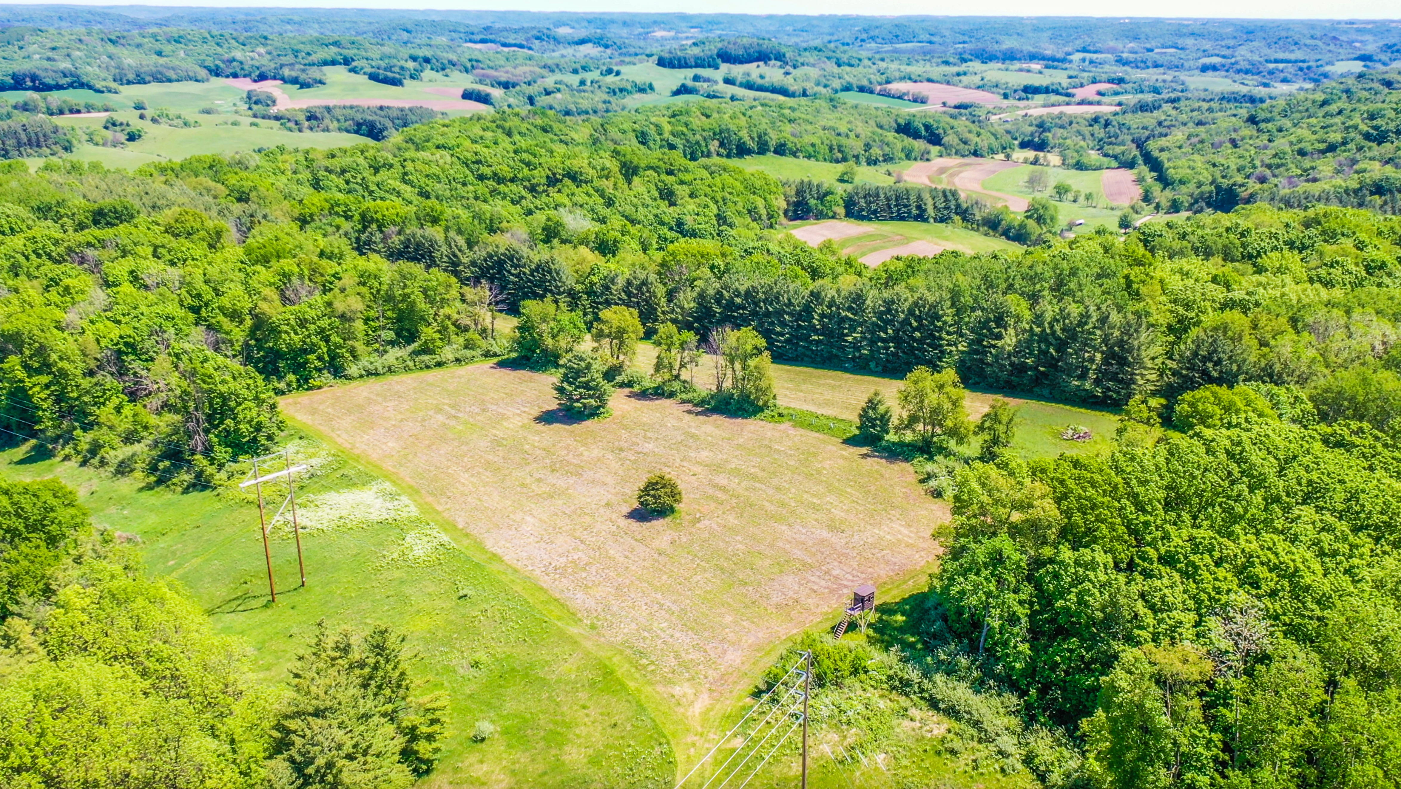 22727 BELL HOLLOW LANE - image 46